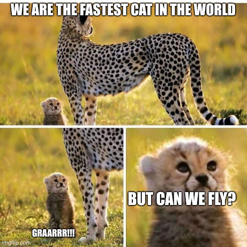 Dreaming the Impossible | WE ARE THE FASTEST CAT IN THE WORLD; BUT CAN WE FLY? GRAARRR!!! | image tagged in cheetah mom with scared cub,memes,dreamer,cheetah,fastest thing on earth,grounded | made w/ Imgflip meme maker