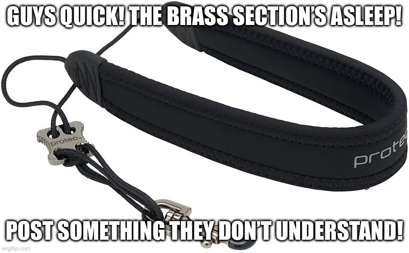 Neckstrap | GUYS QUICK! THE BRASS SECTION’S ASLEEP! POST SOMETHING THEY DON’T UNDERSTAND! | image tagged in saxophone,neck,strapping | made w/ Imgflip meme maker