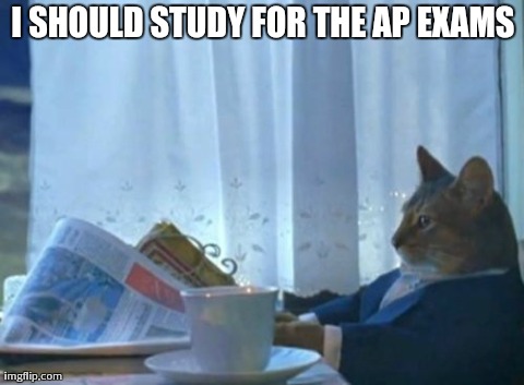 Two days left...crap. | I SHOULD STUDY FOR THE AP EXAMS | image tagged in memes,i should buy a boat cat | made w/ Imgflip meme maker