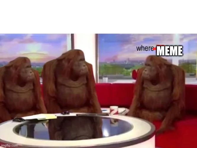 Monkey where | MEME | image tagged in monkey where | made w/ Imgflip meme maker