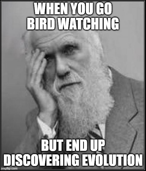 darwin facepalm | WHEN YOU GO BIRD WATCHING; BUT END UP DISCOVERING EVOLUTION | image tagged in darwin facepalm | made w/ Imgflip meme maker