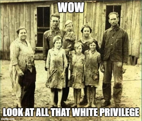 Just cause we work and earn it doesn't mean we're privileged | WOW; LOOK AT ALL THAT WHITE PRIVILEGE | image tagged in stupid liberals,funny memes,political meme,political humor,truth | made w/ Imgflip meme maker