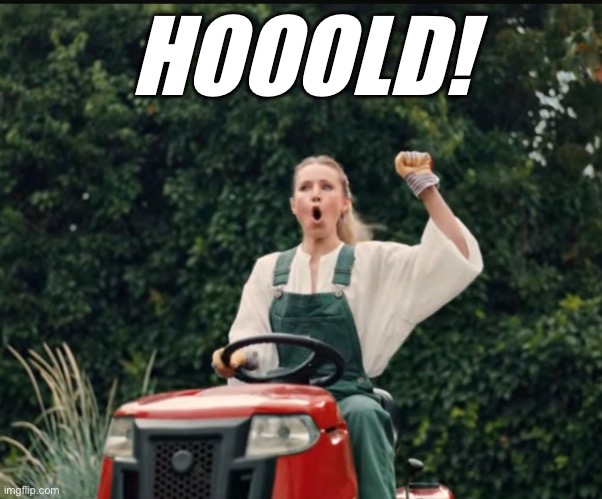 Hold! | HOOOLD! | image tagged in hold up | made w/ Imgflip meme maker