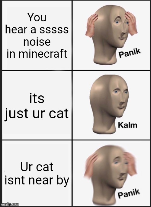 Last one was popular lol | You hear a sssss noise in minecraft; its just ur cat; Ur cat isnt near by | image tagged in memes,panik kalm panik | made w/ Imgflip meme maker