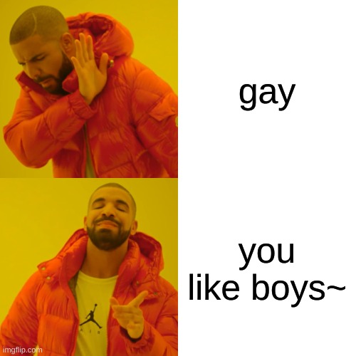 Drake Hotline Bling Meme | gay; you like boys~ | image tagged in memes,drake hotline bling | made w/ Imgflip meme maker