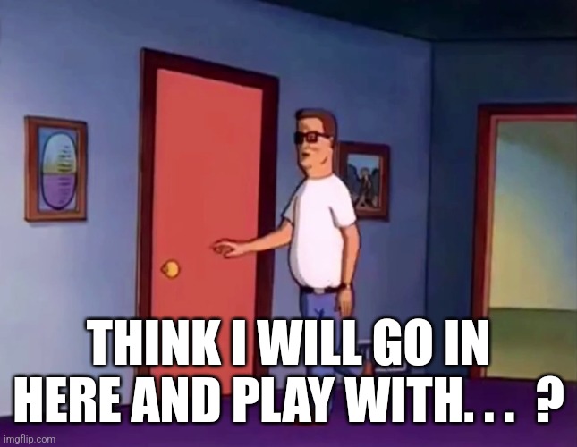 Hank About to Bust | THINK I WILL GO IN HERE AND PLAY WITH. . .  ? | image tagged in hank about to bust | made w/ Imgflip meme maker