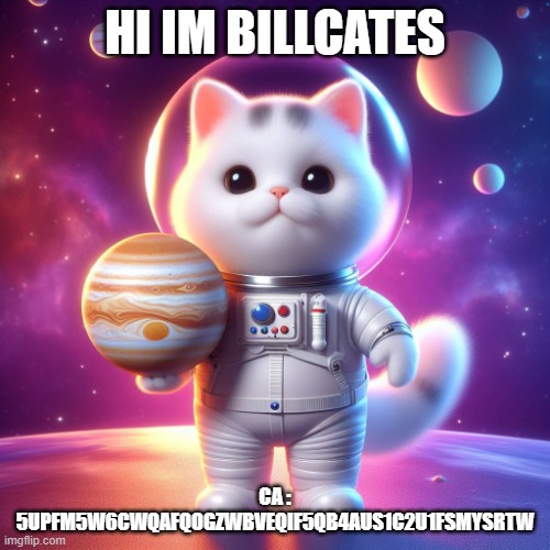 BILL CATES | HI IM BILLCATES; CA : 5UPFM5W6CWQAFQOGZWBVEQIF5QB4AUS1C2U1FSMYSRTW | image tagged in space cat | made w/ Imgflip meme maker
