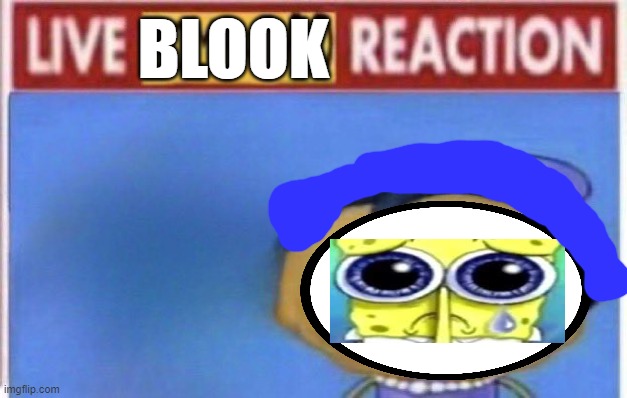 Live mom and dad reaction | BLOOK | image tagged in live mom and dad reaction | made w/ Imgflip meme maker