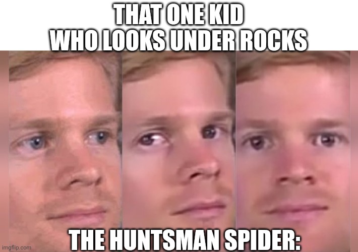 I was that weird kid... | THAT ONE KID WHO LOOKS UNDER ROCKS; THE HUNTSMAN SPIDER: | image tagged in fourth wall breaking white guy | made w/ Imgflip meme maker