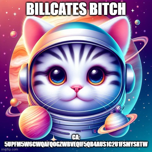MEOW | BILLCATES BITCH; CA: 5UPFM5W6CWQAFQOGZWBVEQIF5QB4AUS1C2U1FSMYSRTW | image tagged in meow | made w/ Imgflip meme maker