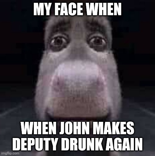 Donkey staring | MY FACE WHEN; WHEN J0HN MAKES DEPUTY DRUNK AGAIN | image tagged in donkey staring | made w/ Imgflip meme maker