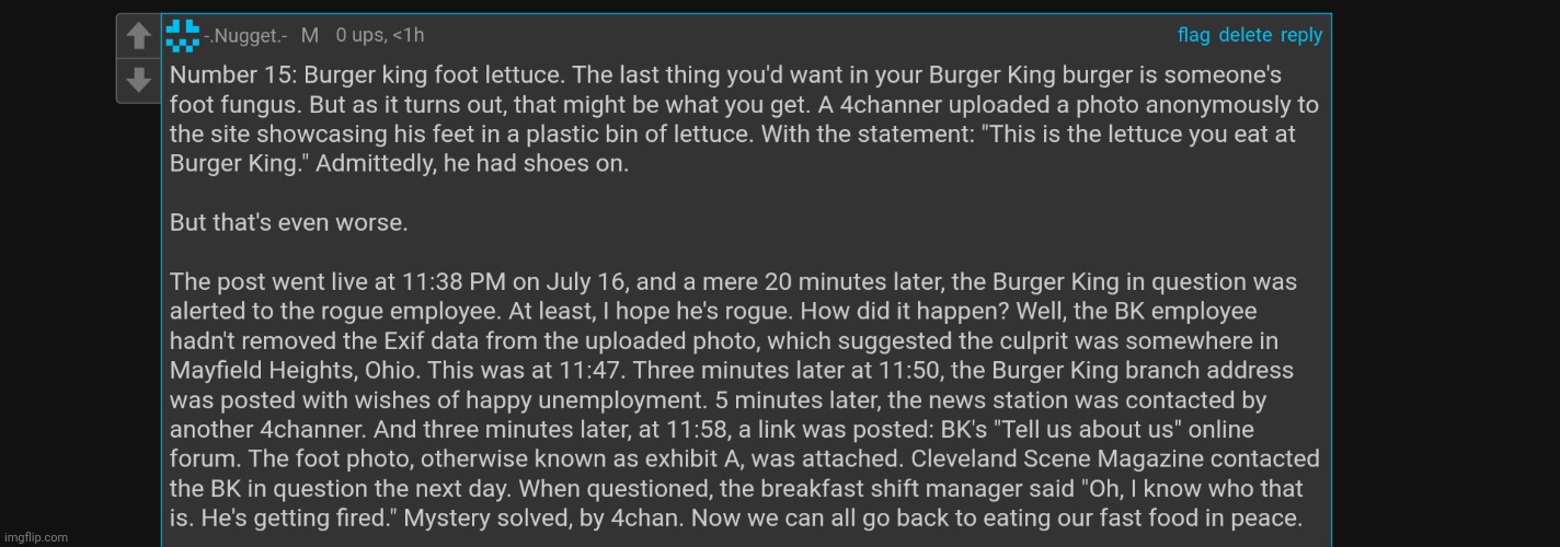 Burger King saga | image tagged in burger king | made w/ Imgflip meme maker