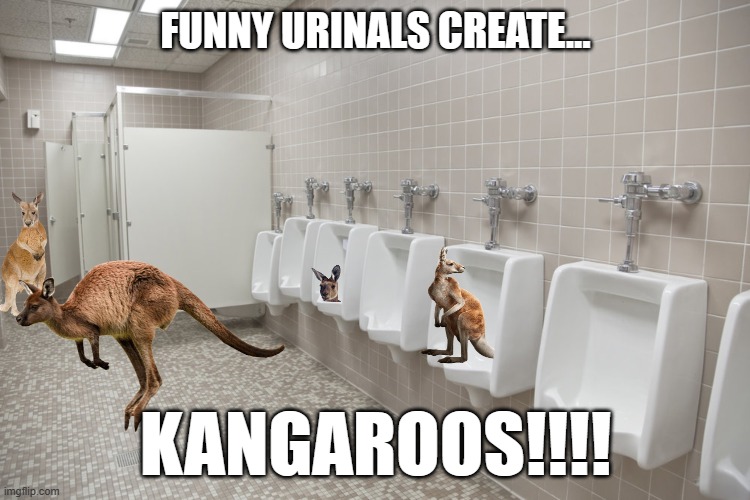 Funny Urinals Create Kangaroos | FUNNY URINALS CREATE... KANGAROOS!!!! | image tagged in funny,urinals,create,kangaroos | made w/ Imgflip meme maker