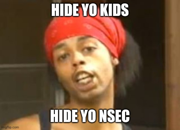 Hide yo kids | HIDE YO KIDS; HIDE YO NSEC | image tagged in hide yo kids | made w/ Imgflip meme maker