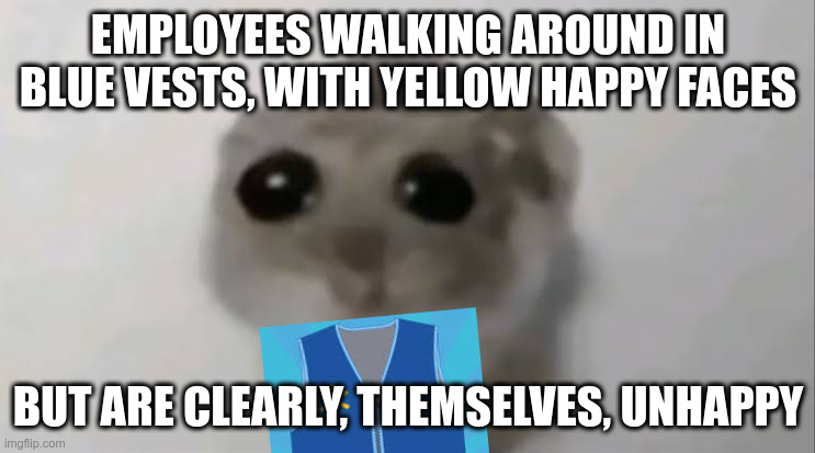 Ode to Customer Service | EMPLOYEES WALKING AROUND IN BLUE VESTS, WITH YELLOW HAPPY FACES; BUT ARE CLEARLY, THEMSELVES, UNHAPPY | image tagged in sad hamster | made w/ Imgflip meme maker
