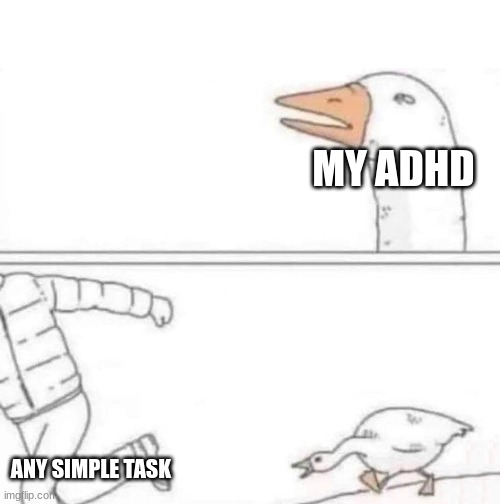Made by my brother | MY ADHD; ANY SIMPLE TASK | image tagged in goose chase | made w/ Imgflip meme maker