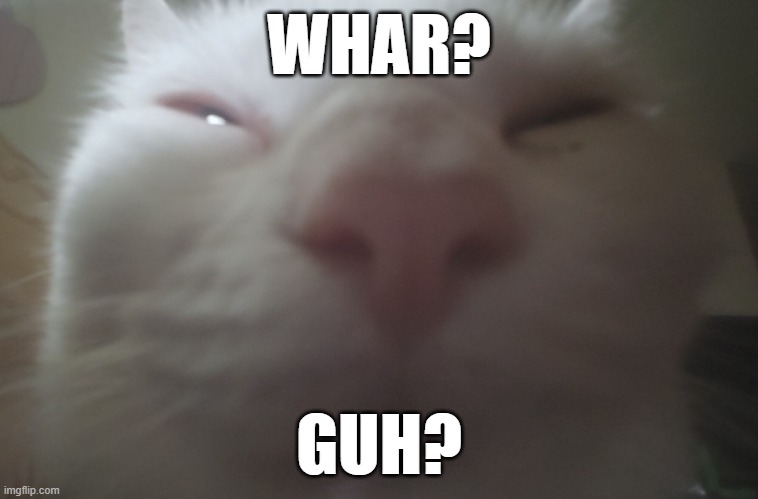 Guh? Nuh uh? | WHAR? GUH? | image tagged in guh nuh uh | made w/ Imgflip meme maker