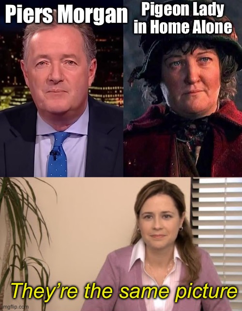 Home Alone | Pigeon Lady in Home Alone; Piers Morgan; They’re the same picture | image tagged in they're the same picture,pigeon,home alone | made w/ Imgflip meme maker