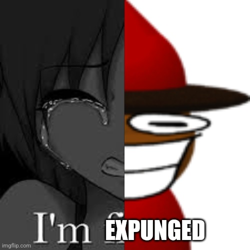 im fine | EXPUNGED | image tagged in im fine,expunged,dave and bambi | made w/ Imgflip meme maker