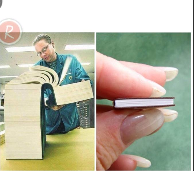 big book small book text boxes fixed Blank Meme Template