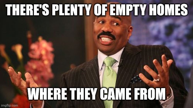 Steve Harvey Meme | THERE'S PLENTY OF EMPTY HOMES WHERE THEY CAME FROM | image tagged in memes,steve harvey | made w/ Imgflip meme maker