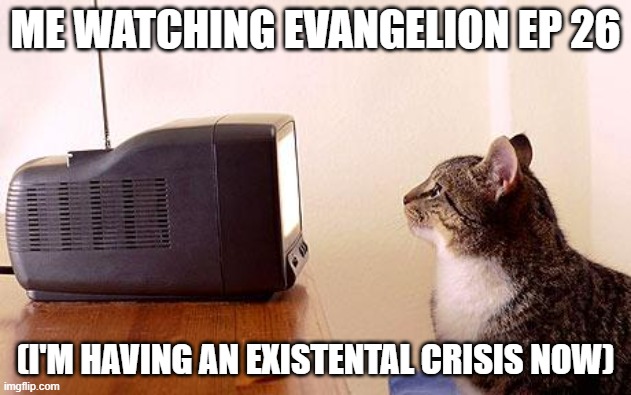 dawg how does a silly little anime manage to make me question my life | ME WATCHING EVANGELION EP 26; (I'M HAVING AN EXISTENTAL CRISIS NOW) | image tagged in cat watching tv | made w/ Imgflip meme maker