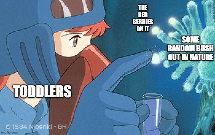 First Nausicaa meme made in a while. | THE RED BERRIES ON IT; SOME RANDOM BUSH OUT IN NATURE; TODDLERS | image tagged in nausicaa spores,dank memes,bush,nature,toddlers,toxic | made w/ Imgflip meme maker