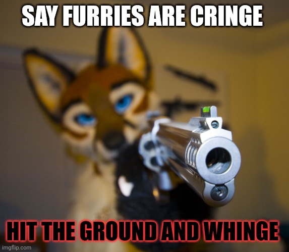 Furry with gun | SAY FURRIES ARE CRINGE; HIT THE GROUND AND WHINGE | image tagged in furry with gun | made w/ Imgflip meme maker