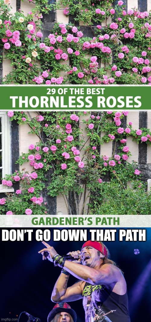 Thornless roses | DON’T GO DOWN THAT PATH | image tagged in brett michaels,poison,every rose,thorn | made w/ Imgflip meme maker