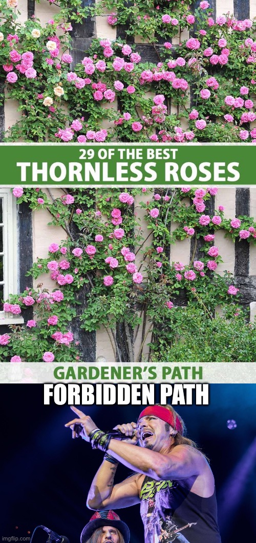 Every Rose Has it’s Thorn | FORBIDDEN PATH | image tagged in brett michaels,thorn,poison,rose | made w/ Imgflip meme maker