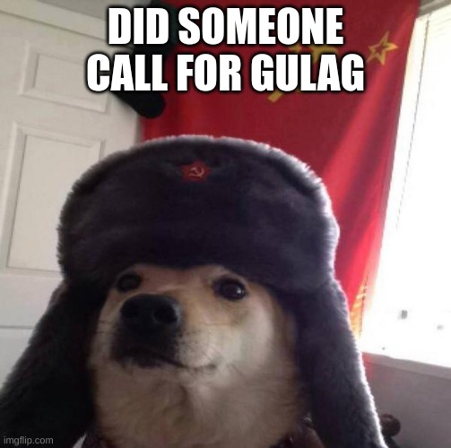 Russian Doge | DID SOMEONE CALL FOR GULAG | image tagged in russian doge | made w/ Imgflip meme maker
