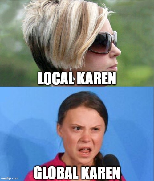 How dare I make this meme?! | LOCAL KAREN; GLOBAL KAREN | image tagged in the karens,global pain in the butt | made w/ Imgflip meme maker