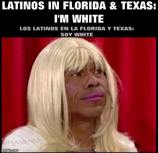 image tagged in florida,texas,latinos,bleach,blond,hispanics | made w/ Imgflip meme maker
