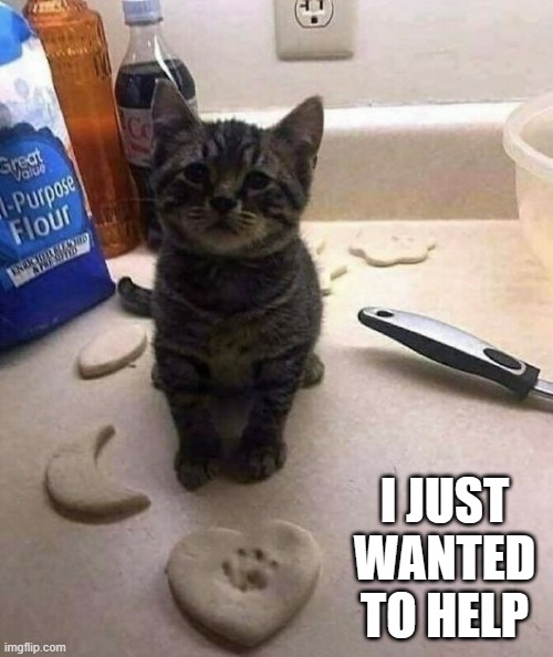 memes by Brad cat helping make cookies humor | I JUST WANTED TO HELP | image tagged in cats,funny,funny cat memes,humor,cookies,cute kittens | made w/ Imgflip meme maker