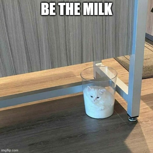 memes by Brad cat in a glass pitcher | BE THE MILK | image tagged in cats,funny,funny cat memes,cute kitten,humor,funny meme | made w/ Imgflip meme maker