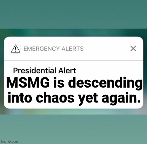 Presidential Alert | MSMG is descending into chaos yet again. | image tagged in presidential alert | made w/ Imgflip meme maker