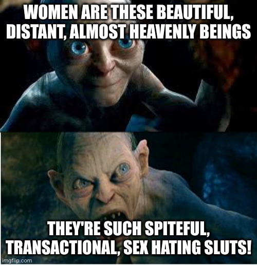 Gollum | WOMEN ARE THESE BEAUTIFUL, DISTANT, ALMOST HEAVENLY BEINGS; THEY'RE SUCH SPITEFUL, TRANSACTIONAL, SEX HATING SLUTS! | image tagged in gollum | made w/ Imgflip meme maker