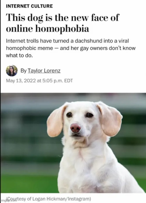 controversy upholds this place. we need people like skibble and yoshi back | made w/ Imgflip meme maker