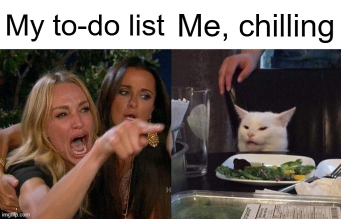 Me rn | My to-do list; Me, chilling | image tagged in memes,woman yelling at cat | made w/ Imgflip meme maker