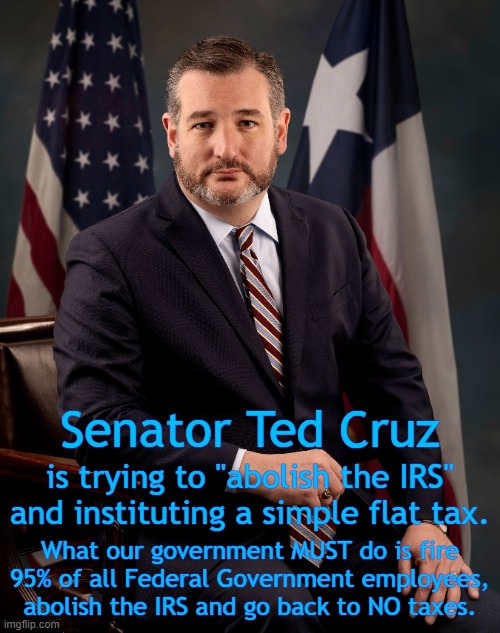 I wish him all of the luck in the world.  I doubt he will succeed but I don't see it happening. | Senator Ted Cruz; is trying to "abolish the IRS" and instituting a simple flat tax. What our government MUST do is fire 95% of all Federal Government employees, abolish the IRS and go back to NO taxes. | image tagged in corrupt democrats,cruz isn't the problem,democrats are the problem | made w/ Imgflip meme maker