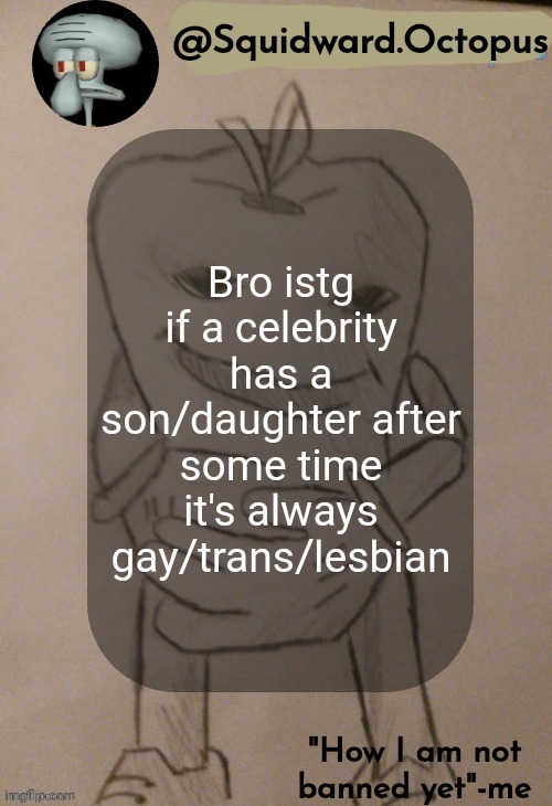 dingus | Bro istg if a celebrity has a son/daughter after some time it's always gay/trans/lesbian | image tagged in squidward octopus announcement template | made w/ Imgflip meme maker