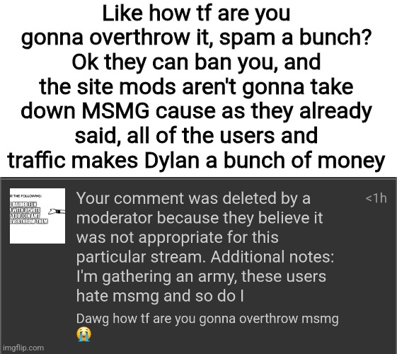 Like how tf are you gonna overthrow it, spam a bunch? Ok they can ban you, and the site mods aren't gonna take down MSMG cause as they already said, all of the users and traffic makes Dylan a bunch of money | made w/ Imgflip meme maker
