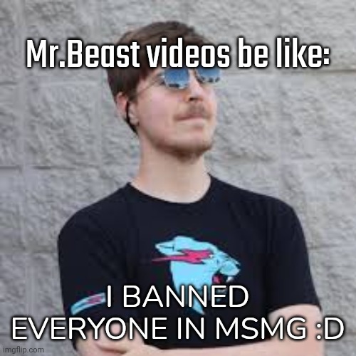 mrbeast | Mr.Beast videos be like:; I BANNED EVERYONE IN MSMG :D | image tagged in mrbeast | made w/ Imgflip meme maker