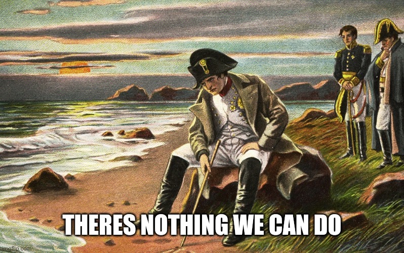 Napoleon | THERES NOTHING WE CAN DO | image tagged in napoleon | made w/ Imgflip meme maker