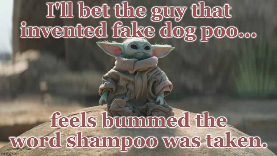 grogu wonders | I'll bet the guy that invented fake dog poo... feels bummed the word shampoo was taken. | image tagged in funny memes | made w/ Imgflip meme maker