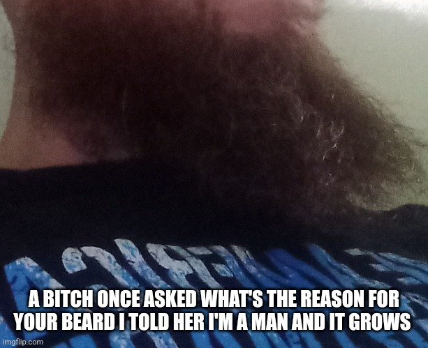 A beard experience | A BITCH ONCE ASKED WHAT'S THE REASON FOR YOUR BEARD I TOLD HER I'M A MAN AND IT GROWS | image tagged in coconutoil | made w/ Imgflip meme maker