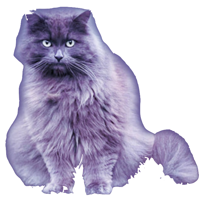 Katze Blank Meme Template