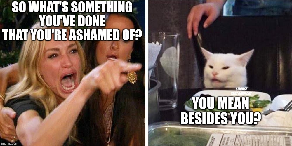 Smudge that darn cat with Karen | SO WHAT'S SOMETHING YOU'VE DONE THAT YOU'RE ASHAMED OF? YOU MEAN BESIDES YOU? | image tagged in smudge that darn cat with karen | made w/ Imgflip meme maker