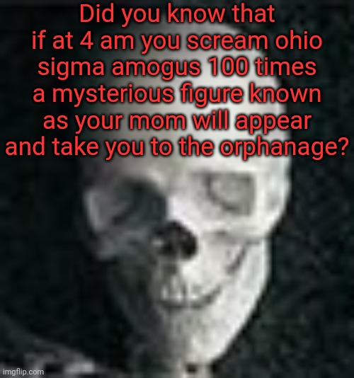 Skull | Did you know that if at 4 am you scream ohio sigma amogus 100 times a mysterious figure known as your mom will appear and take you to the orphanage? | image tagged in skull | made w/ Imgflip meme maker