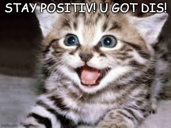 A GRAIN OV HAPPYNES IZ NEEDD PEEPS! | STAY POSITIV! U GOT DIS! | image tagged in happy cat | made w/ Imgflip meme maker